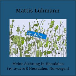 Meine Sichtung in Hessdalen (19.07.2018 Hessdalen, Norwegen) (MP3-Download) - Lühmann, Mattis