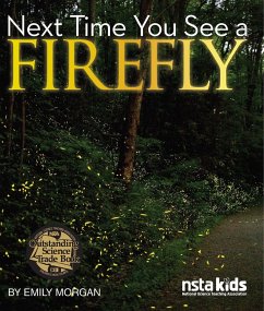 Next Time You See a Firefly (eBook, PDF) - Morgan, Emily