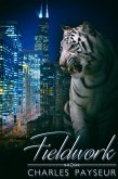Fieldwork (eBook, ePUB)
