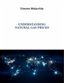 Understanding Natural Gas Prices (eBook, ePUB)