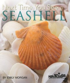 Next Time You See a Seashell (eBook, PDF) - Morgan, Emily