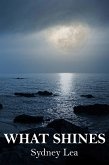 What Shines (eBook, ePUB)