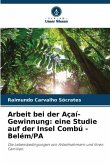 Arbeit bei der Açaí-Gewinnung: eine Studie auf der Insel Combú - Belém/PA