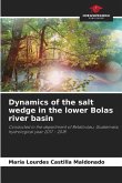 Dynamics of the salt wedge in the lower Bolas river basin