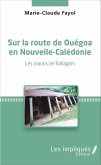 Sur la route de Ouegoa en Nouvelle-Caledonie (eBook, PDF)