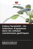 Coleus forskohlii : Un inducteur d'apoptose dans les cellules cancéreuses gastriques