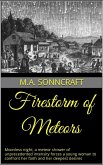 Firestorm of Meteors (eBook, ePUB)