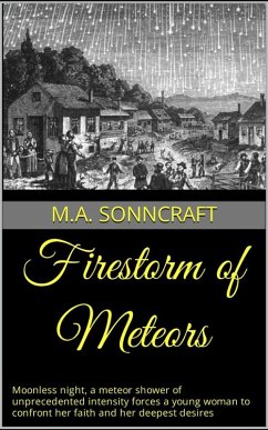 Firestorm of Meteors (eBook, ePUB) - Sonncraft, M. A.