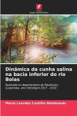 Dinâmica da cunha salina na bacia inferior do rio Bolas