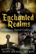 Enchanted Realms (eBook, ePUB) - Bild 1