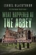 What Happened at the Abbey (eBook, ePUB) - Bild 1