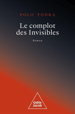 Le Complot des Invisibles (eBook, ePUB) - Polo Tonka, Tonka
