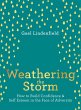 Weathering the Storm (eBook, ePUB) - Bild 1