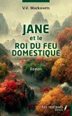 JANE et le ROI DU FEU DOMESTIQUE (eBook, PDF)