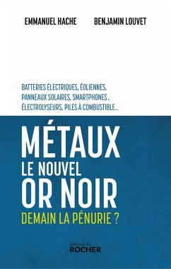 Cover Métaux, le nouvel or noir (eBook, ePUB)