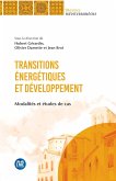 Transitions énergétiques et développement (eBook, ePUB)