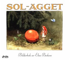 Cover Solägget (eBook, ePUB)