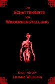 Die Schattenseite der Wiederherstellung (eBook, ePUB)