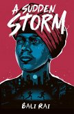 A Sudden Storm (eBook, ePUB)