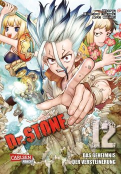 Dr. Stone 12 (eBook, ePUB) - Boichi; Inagaki, Riichiro