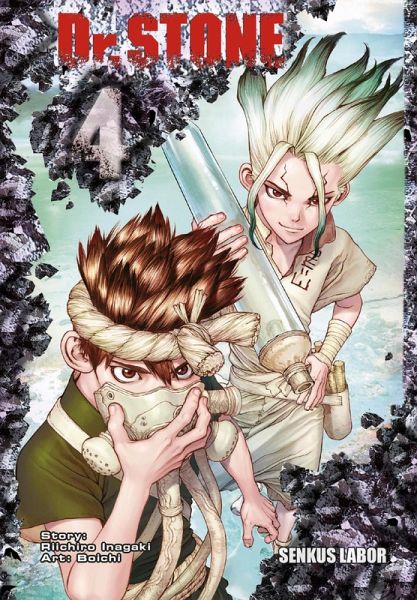 Dr. Stone 4 (eBook, ePUB)