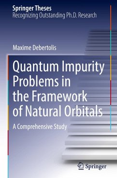 Quantum Impurity Problems in the Framework of Natural Orbitals - Debertolis, Maxime