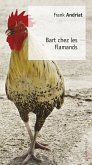 Bart chez les Flamands (eBook, ePUB)