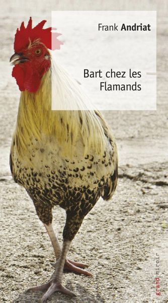 Bart chez les Flamands (eBook, ePUB) Bart chez les Flamands (eBook, ePUB)