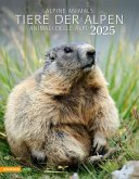 Tiere der Alpen - Kalender 2025