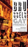 Brussels Gay Friendly (eBook, ePUB)