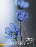 Alpenblumen Kalender 2025