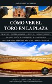 Cómo ver el toro en la plaza