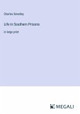 Life in Southern Prisons