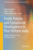 Public Policies and Sustainable Development in Post-Reform India (eBook, PDF)