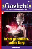 In der geheimnisvollen Burg (eBook, ePUB)