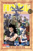 Fairy Tail 13 (eBook, ePUB)