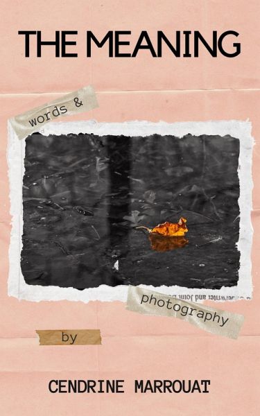 The Meaning (eBook, ePUB)