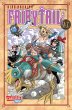 Fairy Tail 11 (eBook, ePUB) - Bild 1