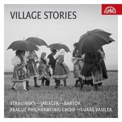 Cover Village Stories