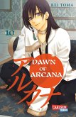 Dawn of Arcana 10 (eBook, ePUB)
