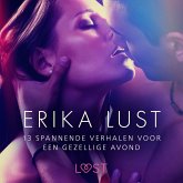 Erika Lust: 13 spannende verhalen voor een gezellige avond (MP3-Download)