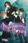 Mysterious Honey 1 (eBook, ePUB)