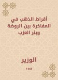 Gold earrings in the bragging between kindergarten and Bir Al -Azab (eBook, ePUB)