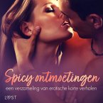 Spicy ontmoetingen: een verzameling van erotische korte verhalen (MP3-Download)