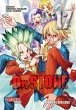 Dr. Stone 17 (eBook, ePUB) - Bild 1