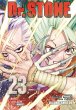 Dr. Stone 23 (eBook, ePUB) - Bild 1