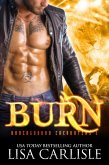 BURN: a shifter vs vampire enemies-to-lovers romance (Underground Encounters, #4) (eBook, ePUB)