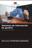 Sistemas de información de gestión