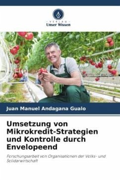 Umsetzung von Mikrokredit-Strategien und Kontrolle durch Envelopeend - Andagana Gualo, Juan Manuel