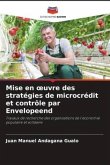 Mise en ¿uvre des stratégies de microcrédit et contrôle par Envelopeend